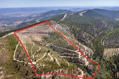 Terreno para Venda em Monchique