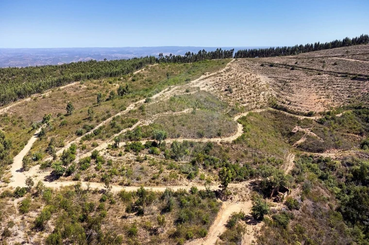Terreno para Venda em Monchique Foto 11