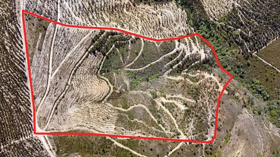 Terreno para Venda em Monchique