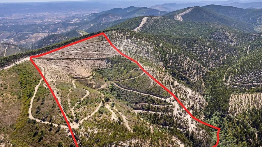 Terreno para Venda em Monchique