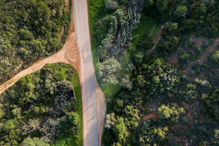 Terreno para Venda em Vila do Bispo e Raposeira Foto 3