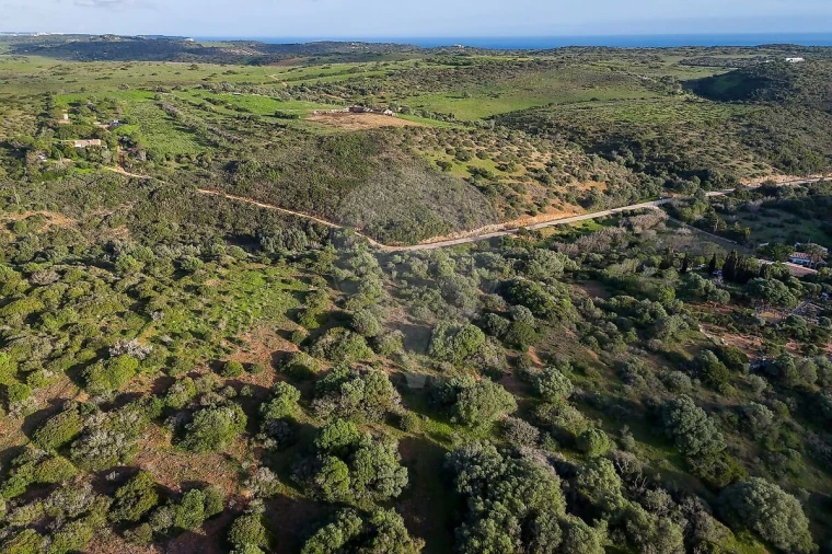 Terreno para Venda em Vila do Bispo e Raposeira Foto 6