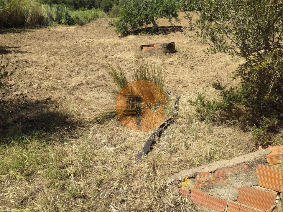 Terreno para Venda em Azinhal Foto 3
