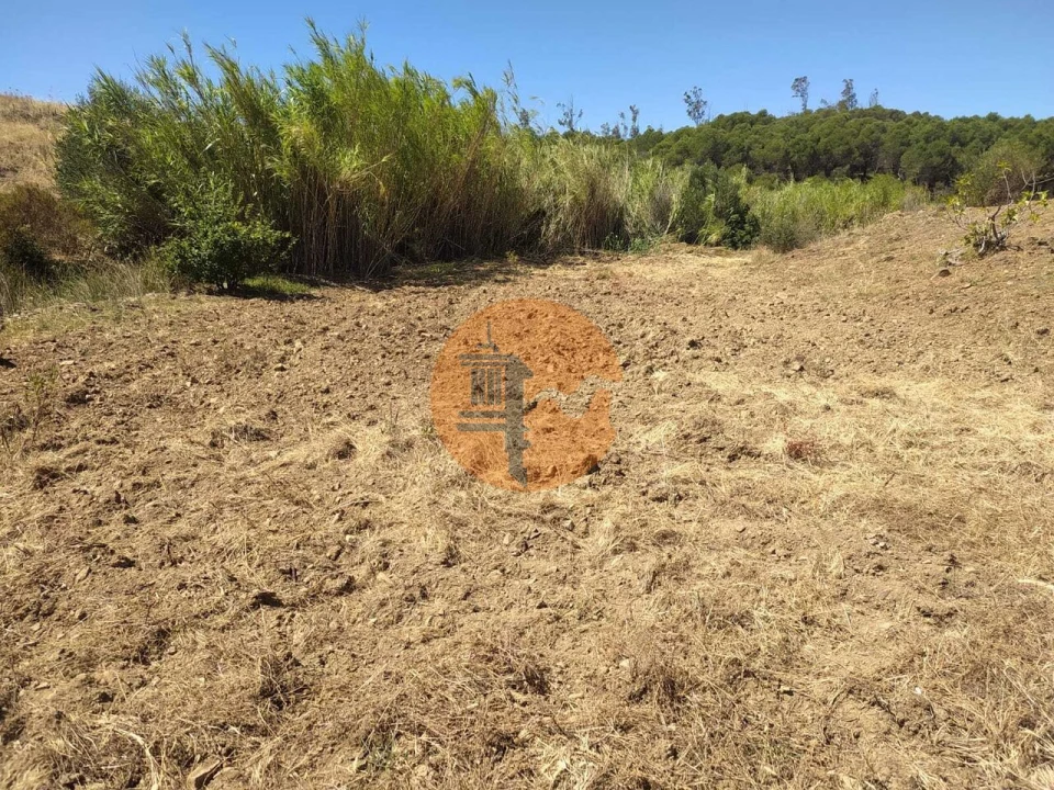 Terreno para Venda em Azinhal Foto 4