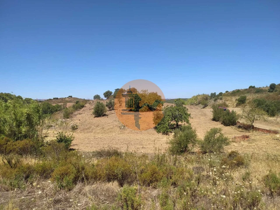 Terreno para Venda em Azinhal Foto 6