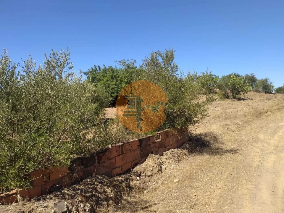 Terreno para Venda em Azinhal Foto 9