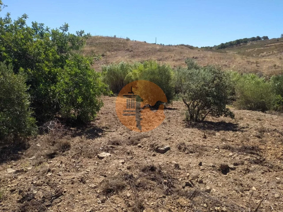 Terreno para Venda em Azinhal Foto 11