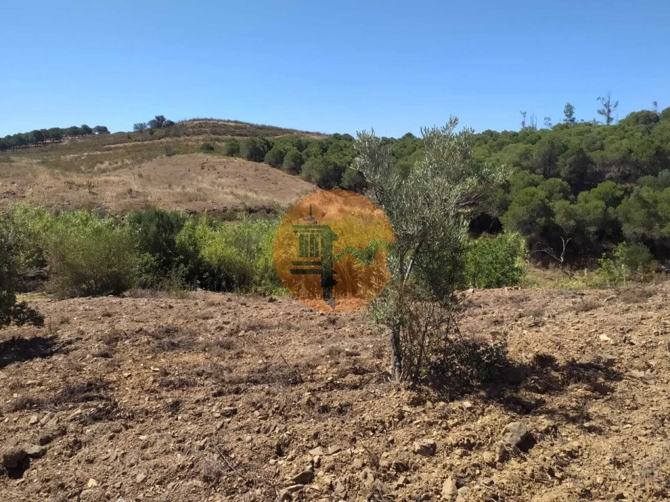 Terreno para Venda em Azinhal Foto 19