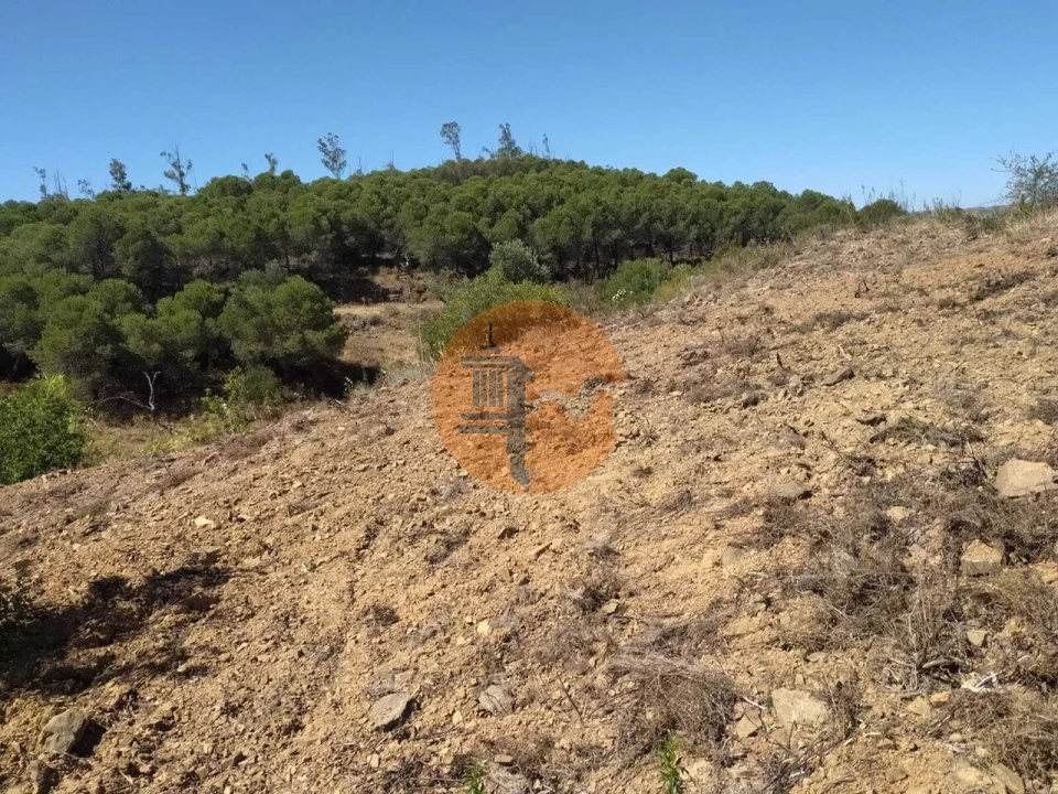Terreno para Venda em Azinhal Foto 12