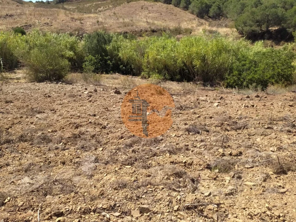 Terreno para Venda em Azinhal Foto 14