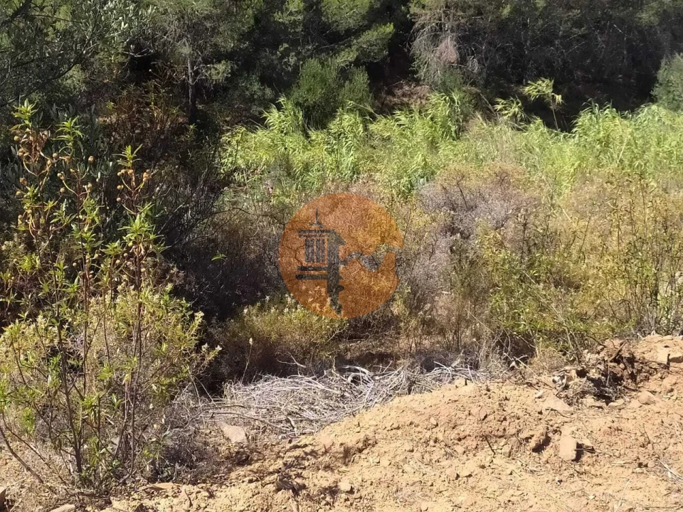 Terreno para Venda em Azinhal Foto 17