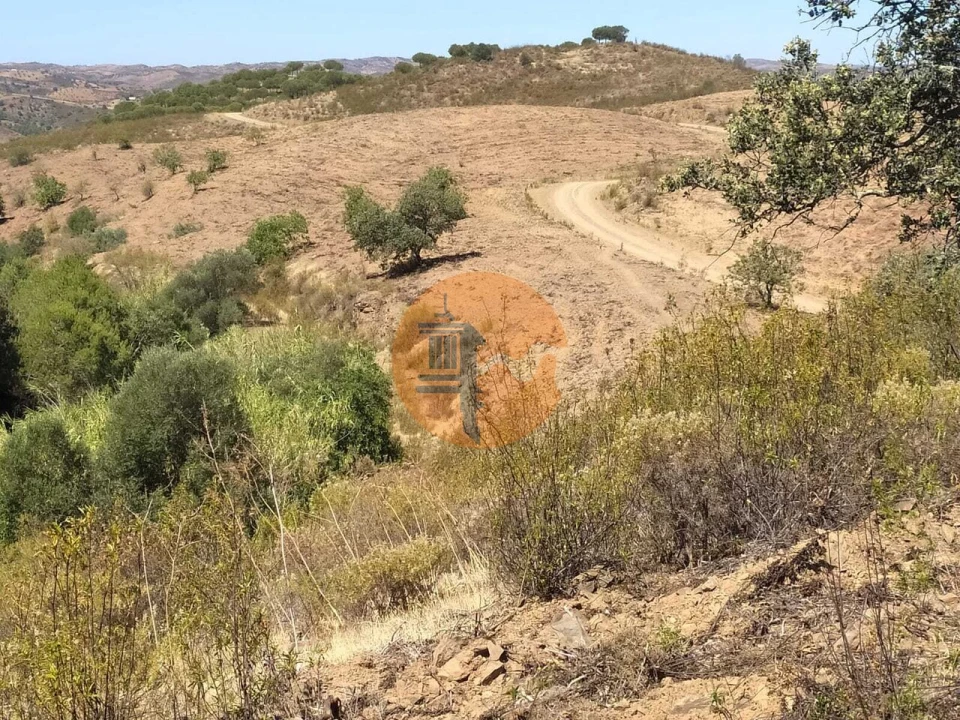 Terreno para Venda em Azinhal Foto 18