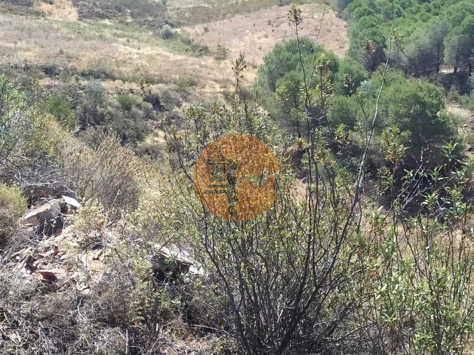 Terreno para Venda em Azinhal Foto 22