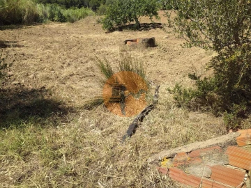 Terreno para Venda em Azinhal