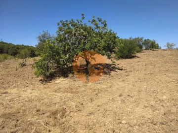 Terreno para Venda em Azinhal