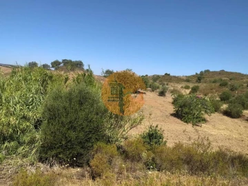 Terreno para Venda em Azinhal
