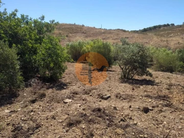 Terreno para Venda em Azinhal