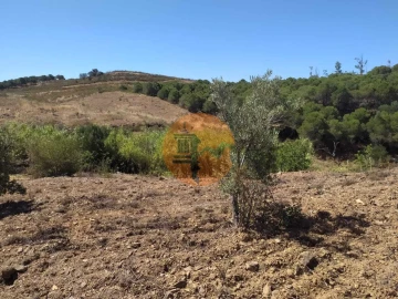 Terreno para Venda em Azinhal