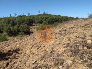 Terreno para Venda em Azinhal