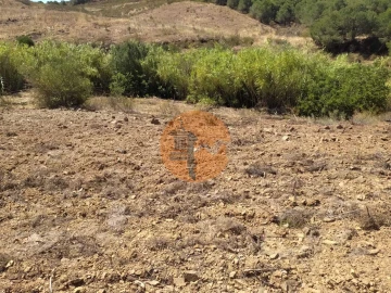 Terreno para Venda em Azinhal