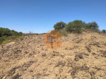 Terreno para Venda em Azinhal