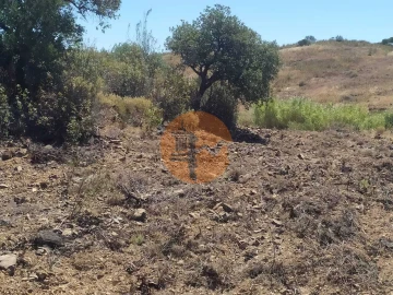 Terreno para Venda em Azinhal
