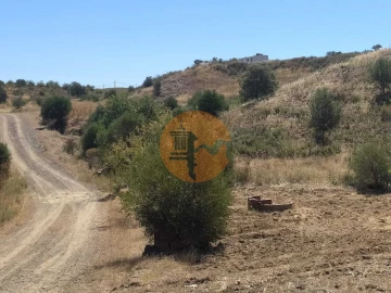 Terreno para Venda em Azinhal