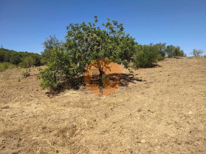 Terreno para Venda em Azinhal Foto 5