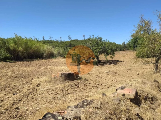 Terreno para Venda em Azinhal Foto 8