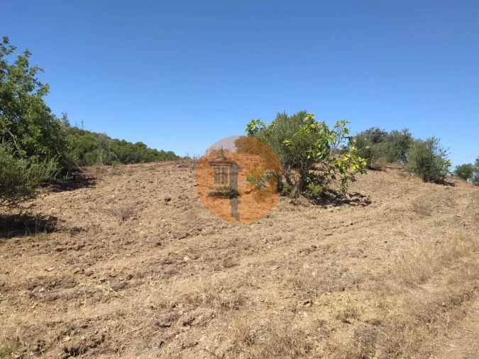 Terreno para Venda em Azinhal Foto 10
