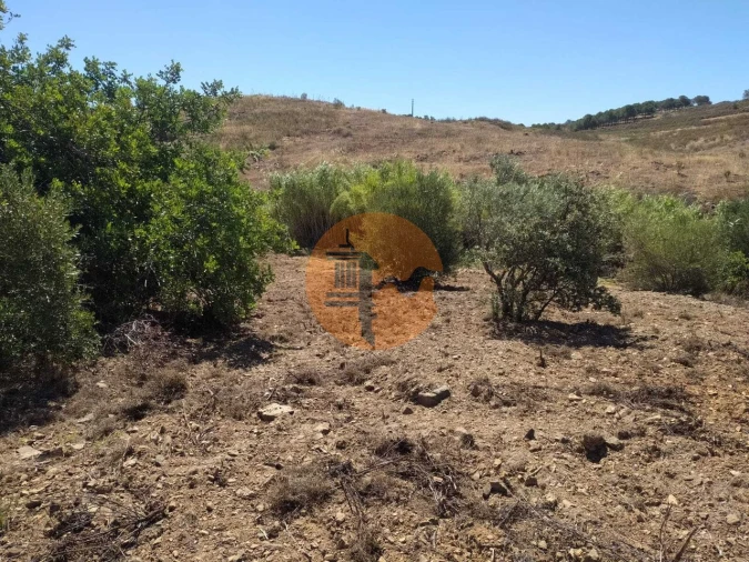 Terreno para Venda em Azinhal Foto 11
