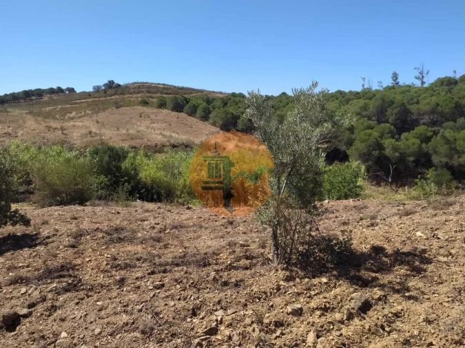 Terreno para Venda em Azinhal Foto 19