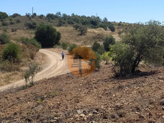 Terreno para Venda em Azinhal Foto 23