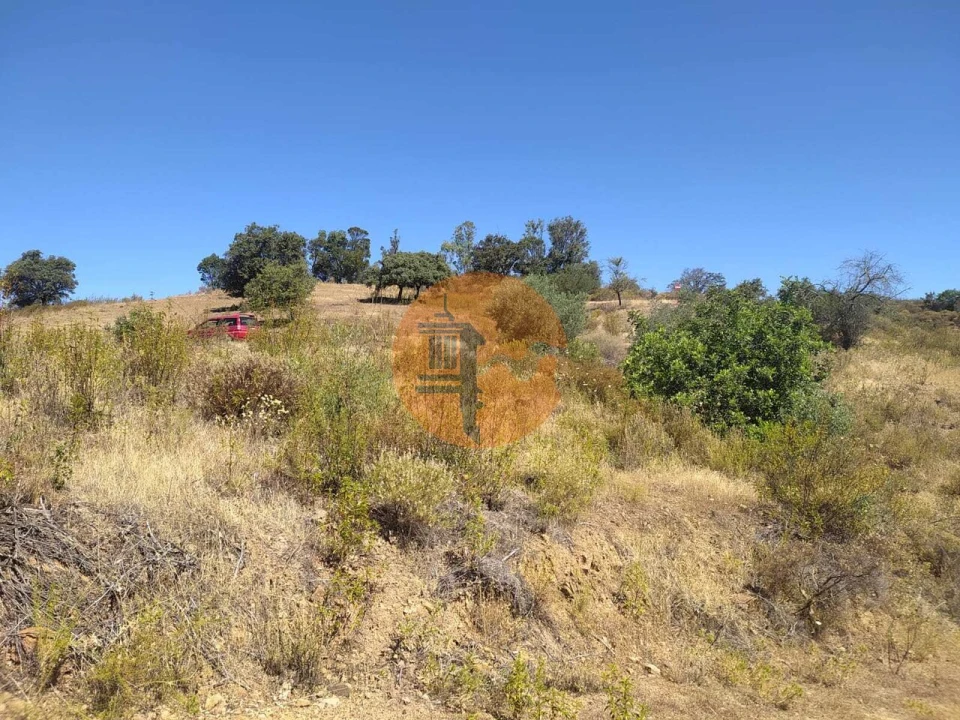 Terreno para Venda em Azinhal Foto 3