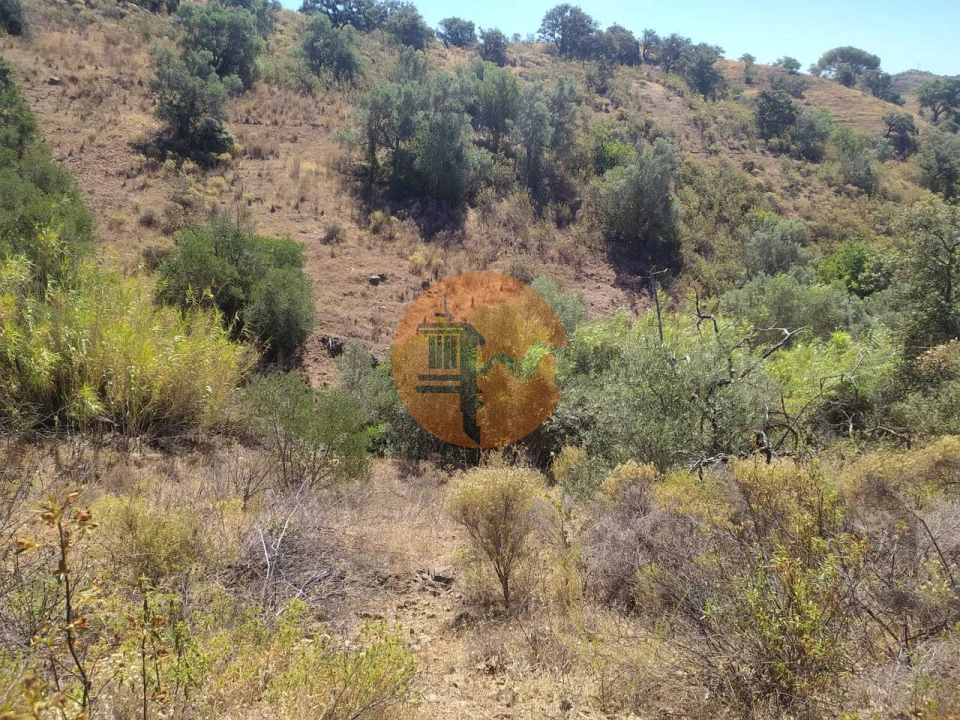 Terreno para Venda em Azinhal Foto 9