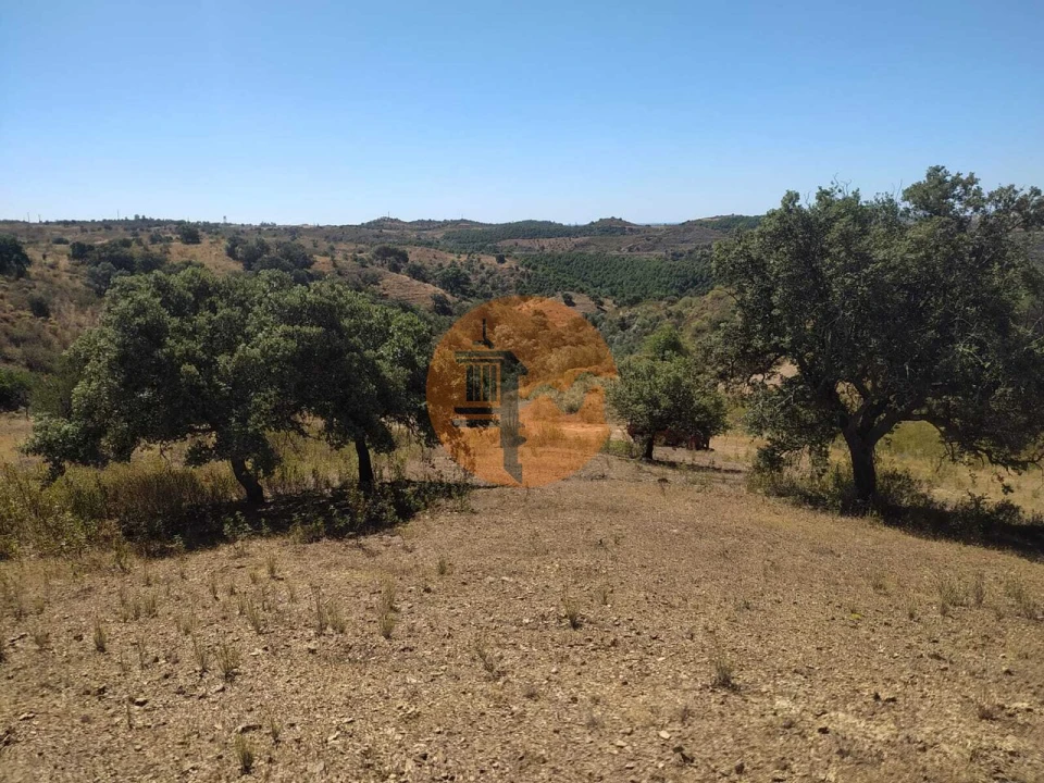 Terreno para Venda em Azinhal Foto 1