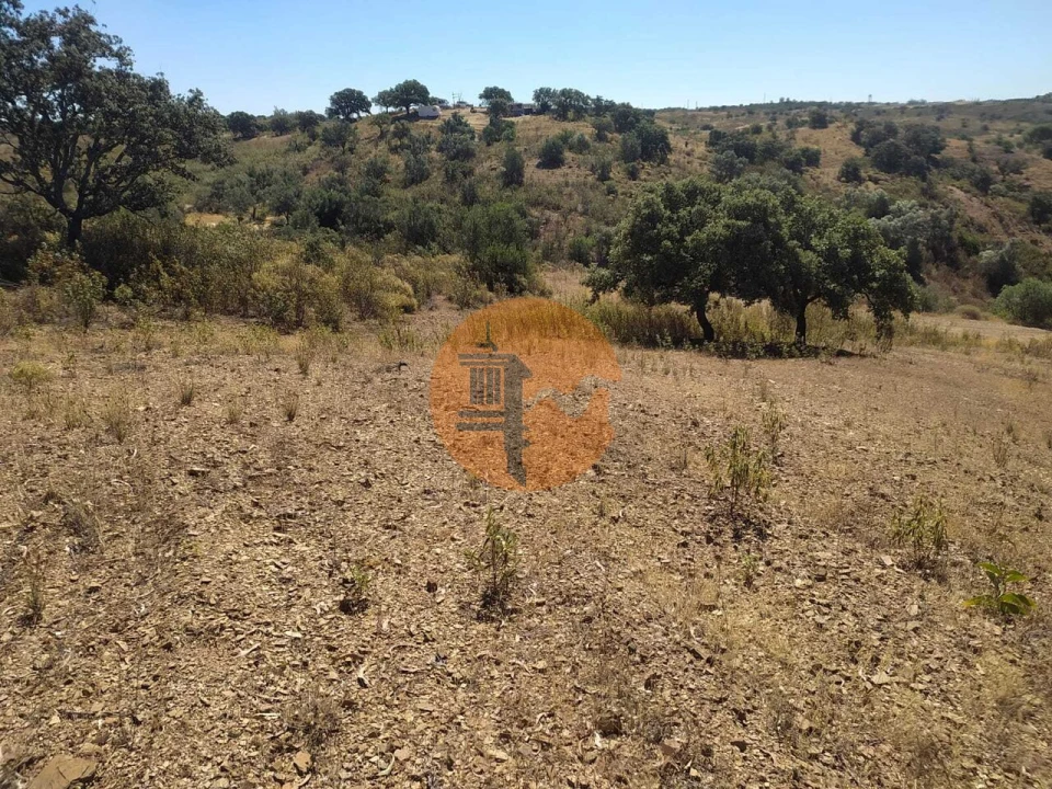 Terreno para Venda em Azinhal Foto 11