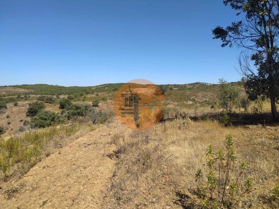 Terreno para Venda em Azinhal Foto 12