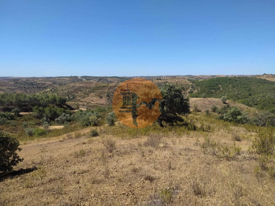 Terreno para Venda em Azinhal Foto 13