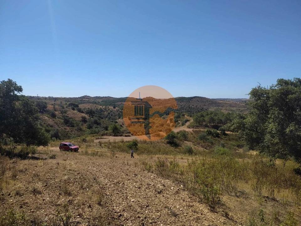Terreno para Venda em Azinhal Foto 14