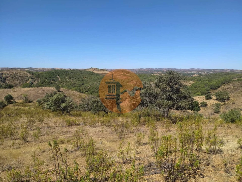 Terreno para Venda em Azinhal Foto 16