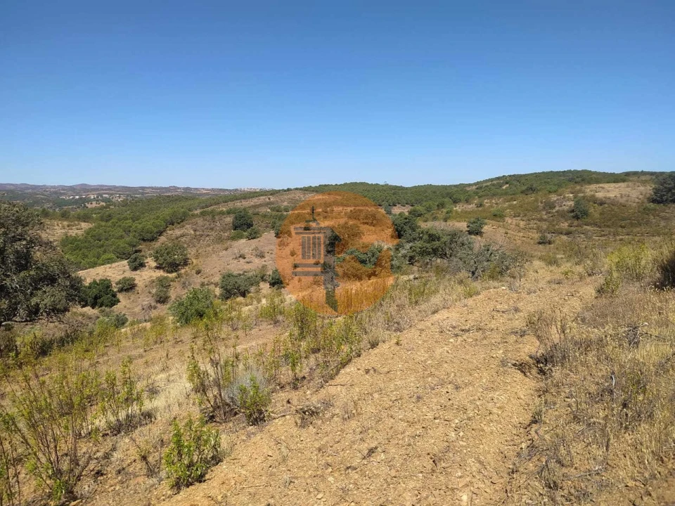 Terreno para Venda em Azinhal Foto 17