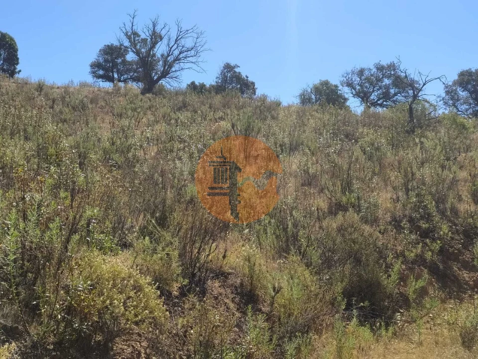 Terreno para Venda em Azinhal Foto 18