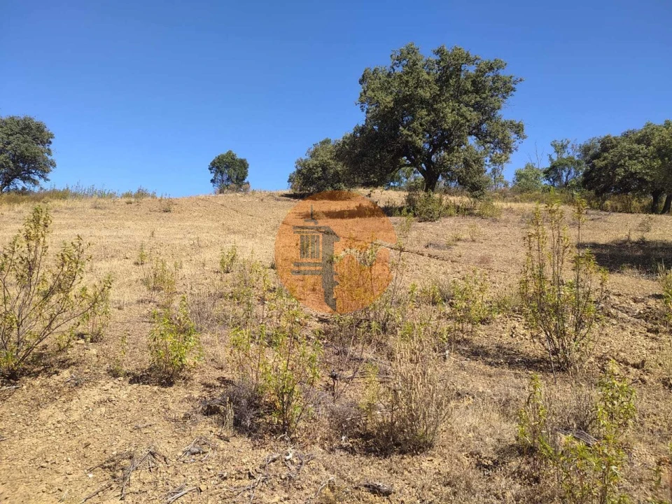 Terreno para Venda em Azinhal Foto 19