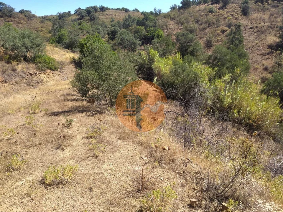 Terreno para Venda em Azinhal Foto 20