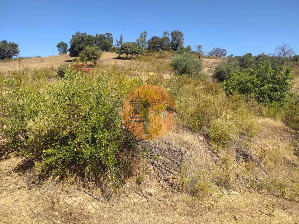 Terreno para Venda em Azinhal Foto 21