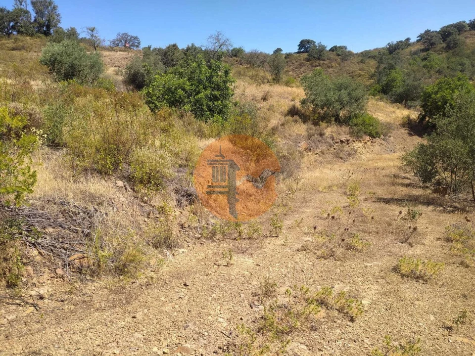 Terreno para Venda em Azinhal Foto 22