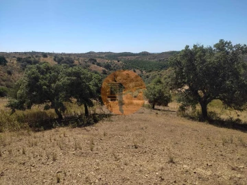 Terreno para Venda em Azinhal
