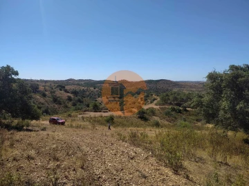 Terreno para Venda em Azinhal