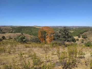 Terreno para Venda em Azinhal